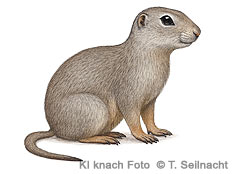 Bild vergr&ouml;&szlig;ern!