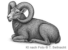 Bild vergr&ouml;&szlig;ern!