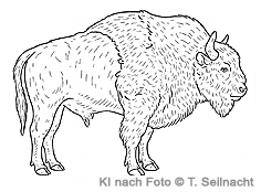 Bild vergr&ouml;&szlig;ern!