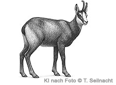 Bild vergr&ouml;&szlig;ern!