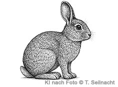 Bild vergr&ouml;&szlig;ern!