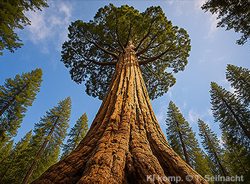 Bild vergr&ouml;&szlig;ern!