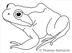 Bild vergr&ouml;&szlig;ern!