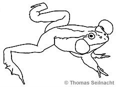 Bild vergr&ouml;&szlig;ern!