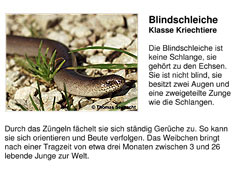Bild vergrößern!