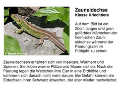 Bild vergrößern!