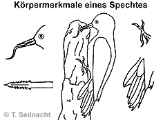 Bild vergrößern!