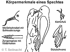 Bild vergrößern!