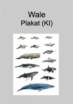 Plakat: Wale